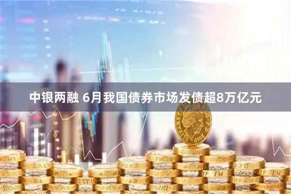 中银两融 6月我国债券市场发债超8万亿元