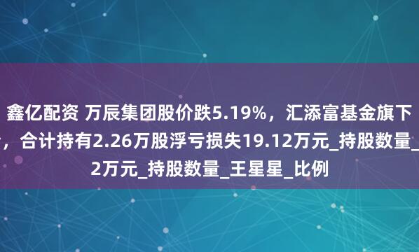 鑫亿配资 万辰集团股价跌5.19%，汇添富基金旗下2只基金重仓，合计持有2.26万股浮亏损失19.12万元_持股数量_王星星_比例