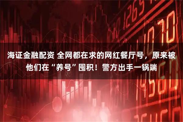 海证金融配资 全网都在求的网红餐厅号，原来被他们在“养号”囤积！警方出手一锅端