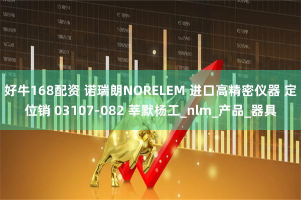好牛168配资 诺瑞朗NORELEM 进口高精密仪器 定位销 03107-082 莘默杨工_nlm_产品_器具
